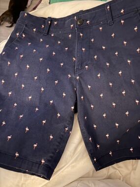 Express Navy Blue Waistband Casual Shorts with Subtle Pink Detail
